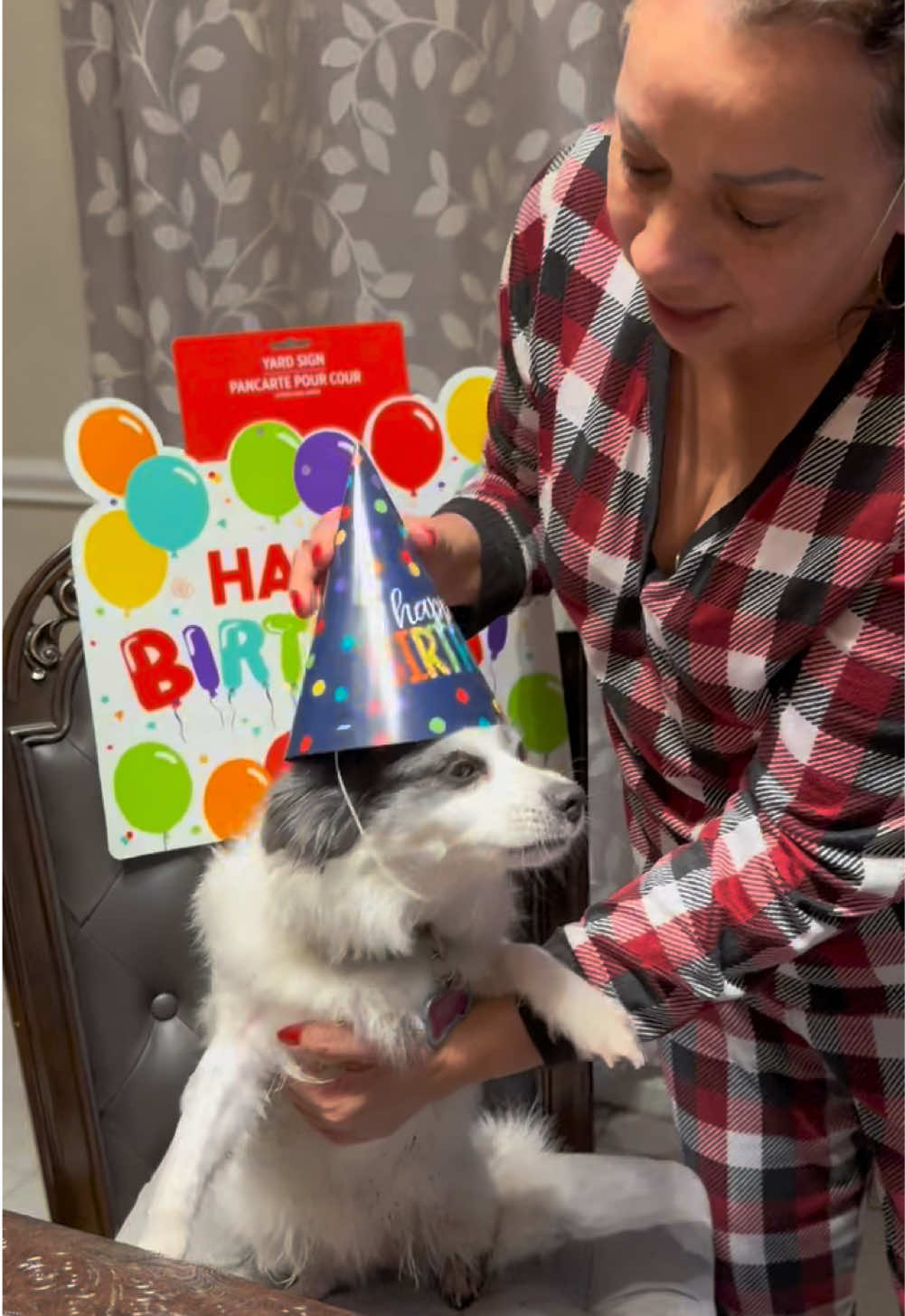 No way they made the dog blow the candles 😭