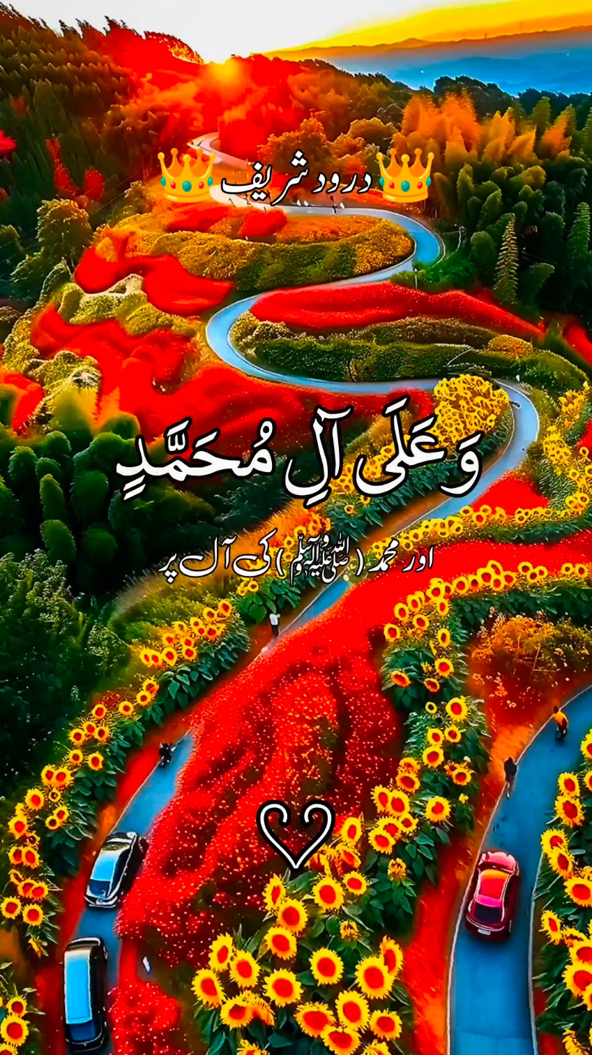 #quran #foryou #islamic_video #quran_alkarim #foryoupage #fyp #fypシ゚viral #trending #tiktok #viralvideo #quran #fypシ゚viral 