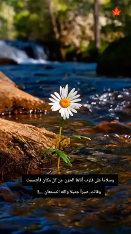 #صبرآ_جميل_والله_المستعان #🍁🍁🍁 