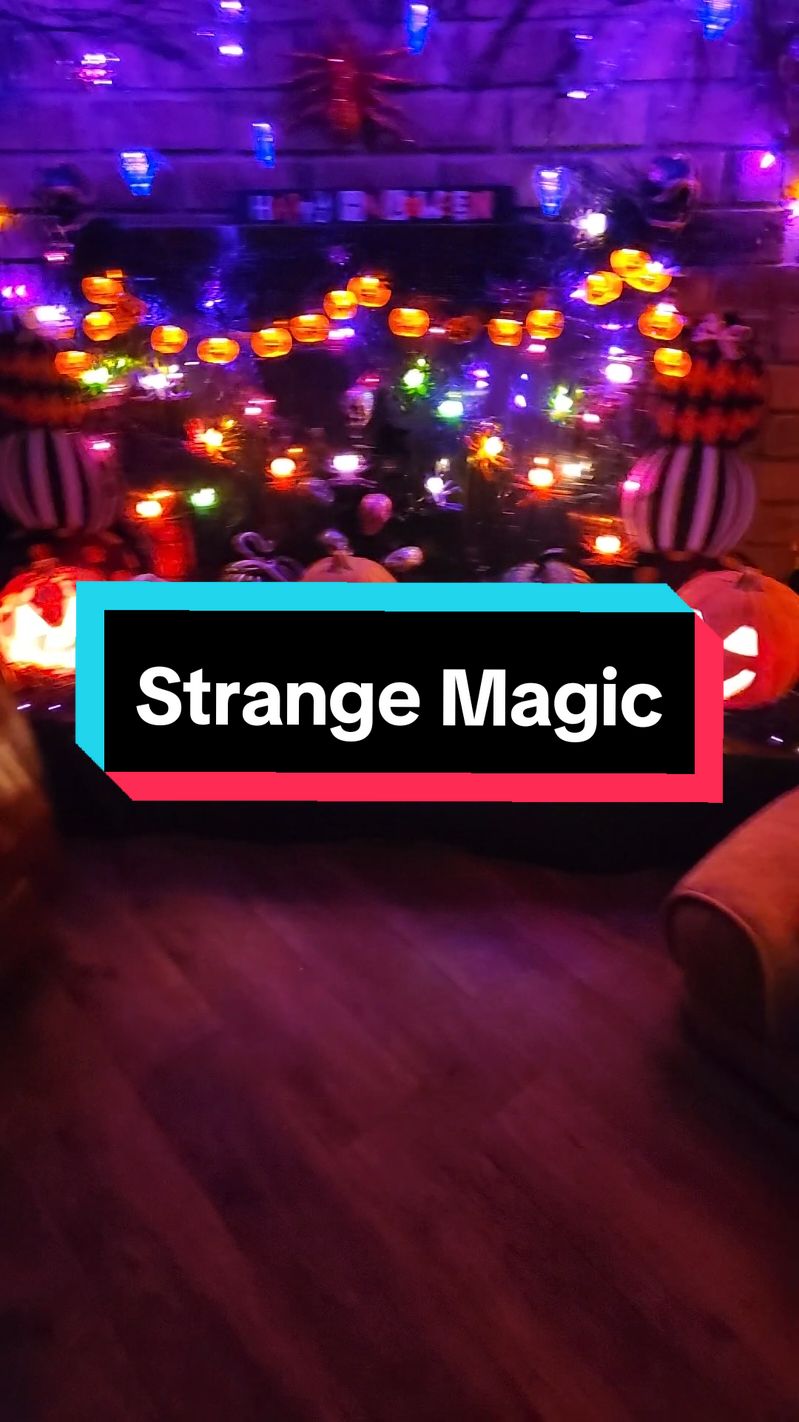 We still have a few Halloween vids of the dogs to post, but now it's time to take down all the Halloween decorations but it will always be Halloween in our hearts until next year! #strangemagic #packlife #halloweendogs #Halloween #sleepingdogs 