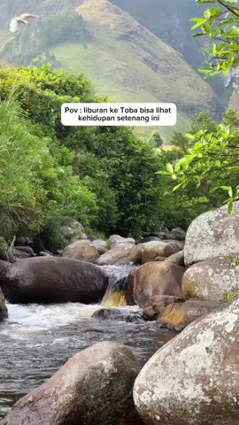 Liburan di toba emang bikin pikiran tenang 🍃🥹 - 🎥 @rezaklana  #wondersumut #danautoba  #silalahi #privatetrip 