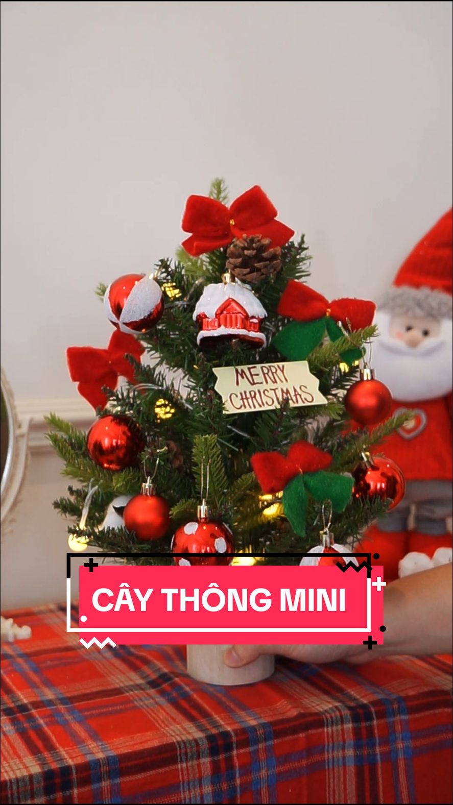 Cây thông mini 45CM nhỏ xinh #xmas2024 #caythongnoel #caythongminideban #xmas2024 #viral #fyp 