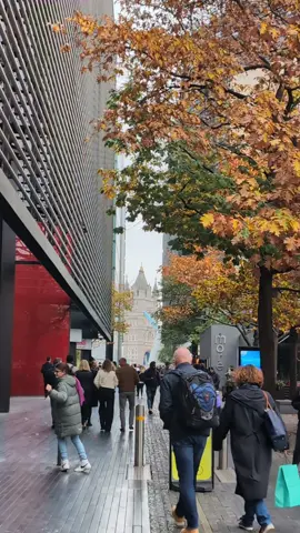 Autumn is special!  #london #towerbridge #Love #autumn #nepal #Nepali