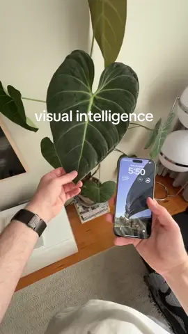 cant wait to keep playing around with this 🤩 #visualintelligence #appleintelligence #apple #iphone16 #iphone16plus #iphone16pro #iphone16promax #iphonetricks #iphonehacks 