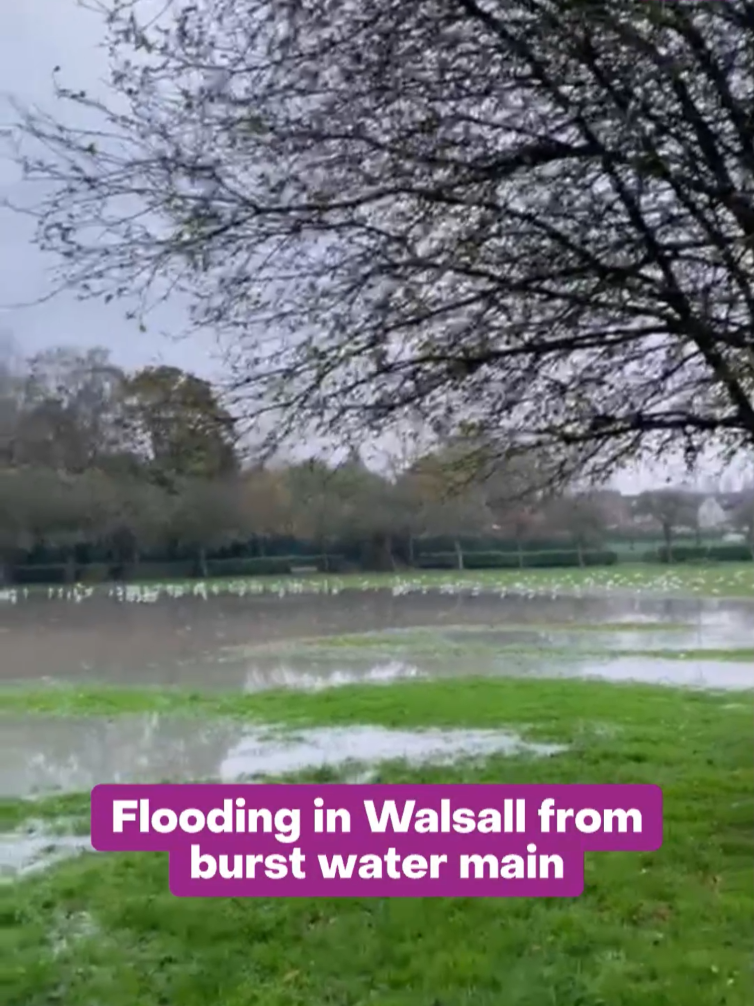 A burst water main has left many homes without water in Bloxwich this morning (Monday, November 4). There has been reports of 'flooding' due to the burst in Stafford Road #birmingham #westmidlands #flooding #walsall