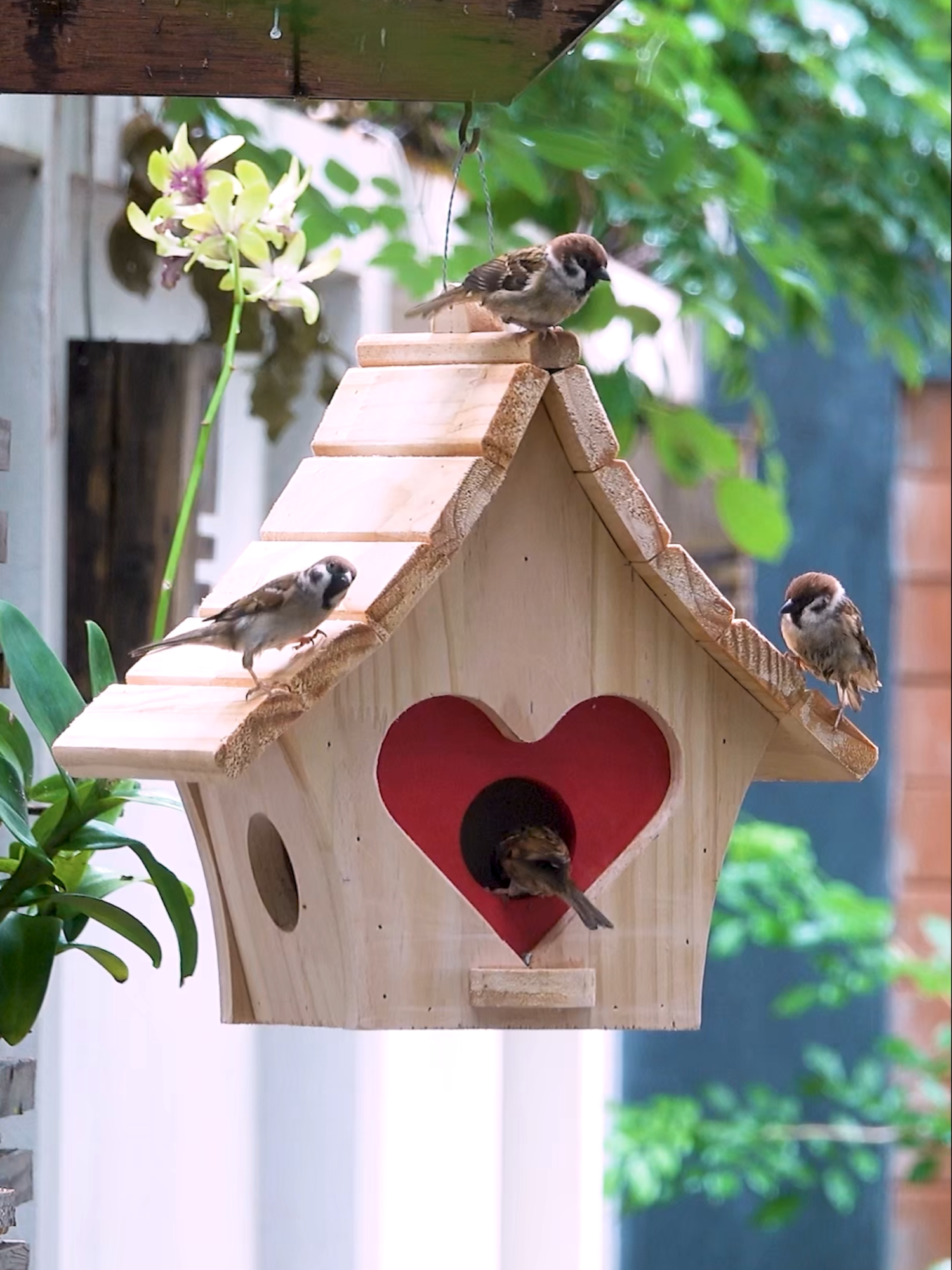 Create a charming sanctuary for your feathered friends with a DIY wooden bird feeder! This project not only enhances your garden but also provides a vital food source for local birds. Gather your materials and let your creativity soar! 🐦🌳 #BirdWatching #DIYProjects #NatureLovers