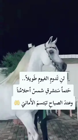 #ياالله #الراحة_النفسيه___ارح_سمعك #الشعب_الصيني_ماله_حل😂😂 #اكسبلورexplore #العراق🇮🇶 #الشعب_الصيني_ماله_حل #النجف_الاشرف #النجف_الأشرف_العشق_مالتي 