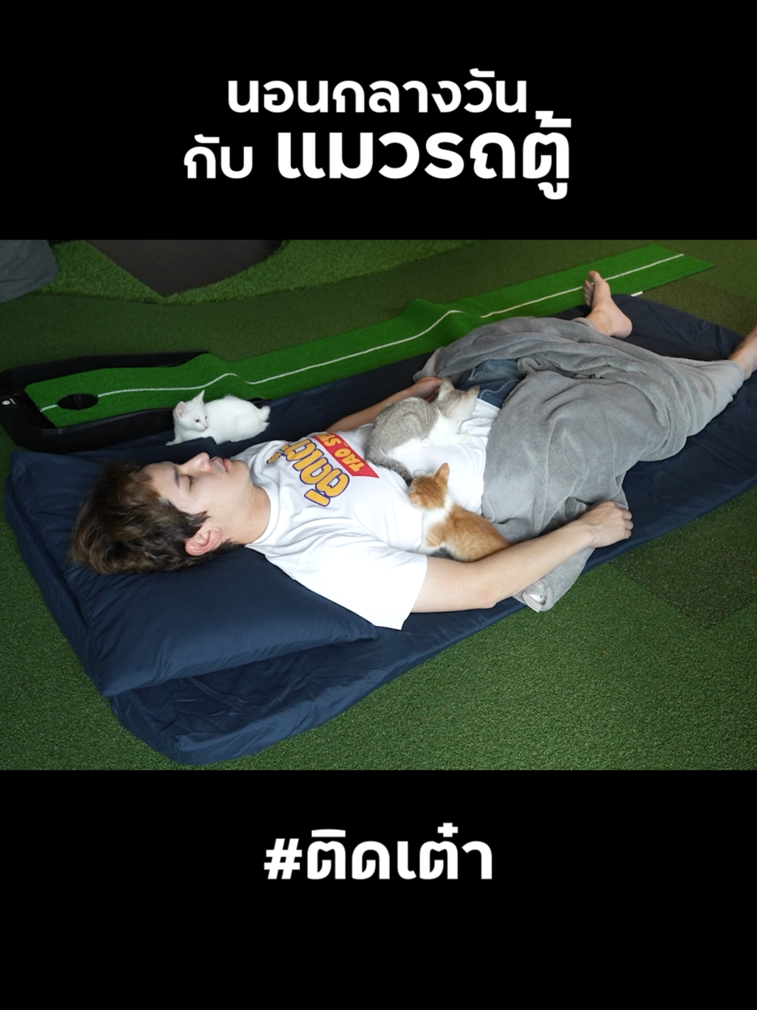 ตัวไหนซนที่สุดครับ? #แมวรถตู้ #taostp