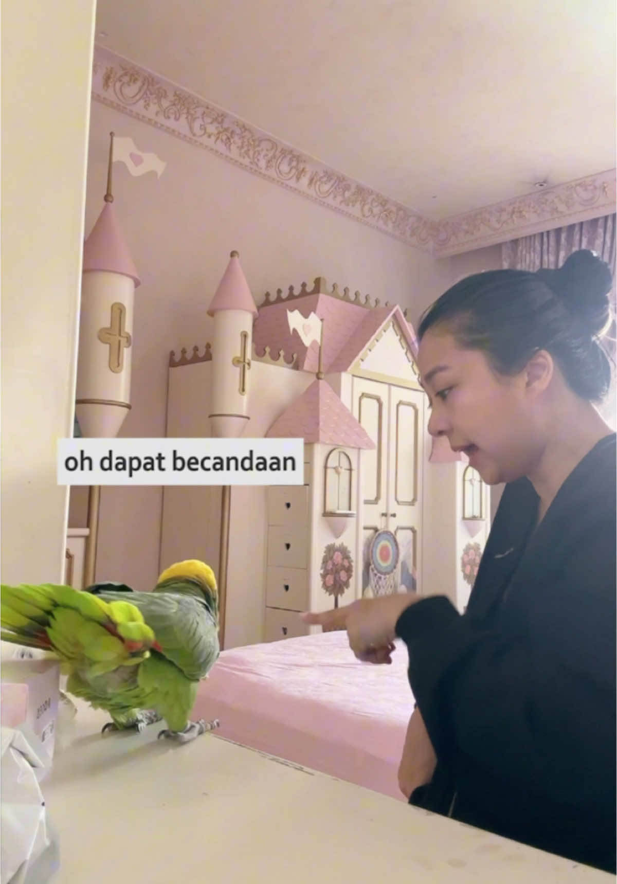 Bandel banget si Sasha.. gak bisa liat koko nya mau masuk ke kamar, langsung mau attack 😮‍💨 • • • • • #sasha #parrot #talkingparrot #foryou #fypシ゚ #mood #viral #trending #funny #pet 