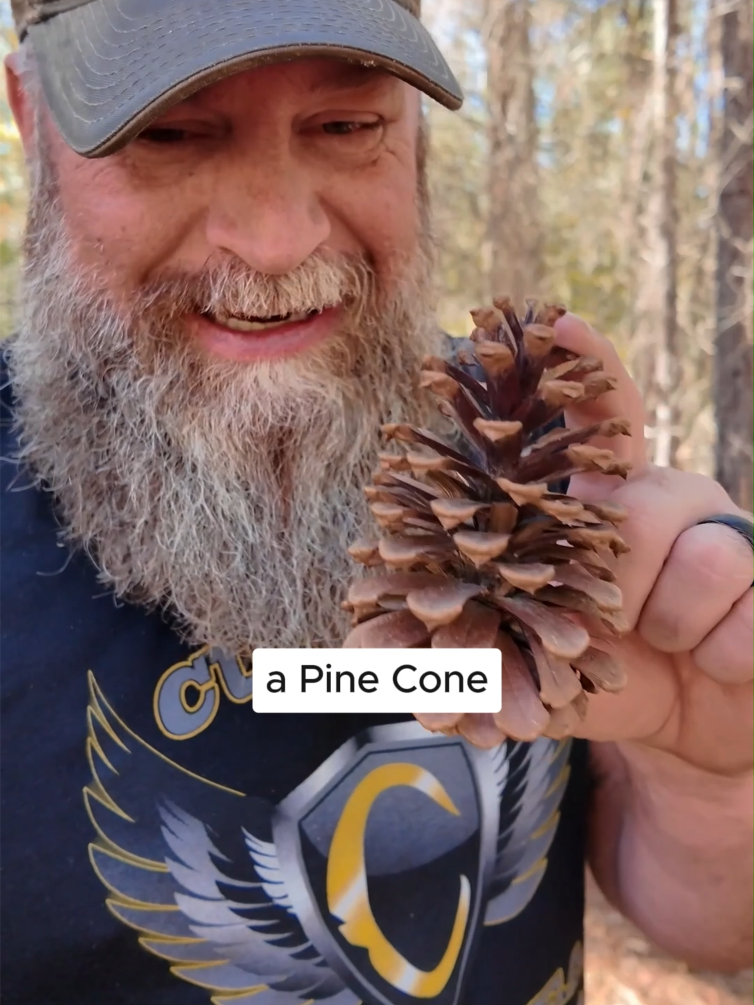 Don't ever pass up a pine cone   #battlbox #currin1776 #survival #tips #pinecone#fyp