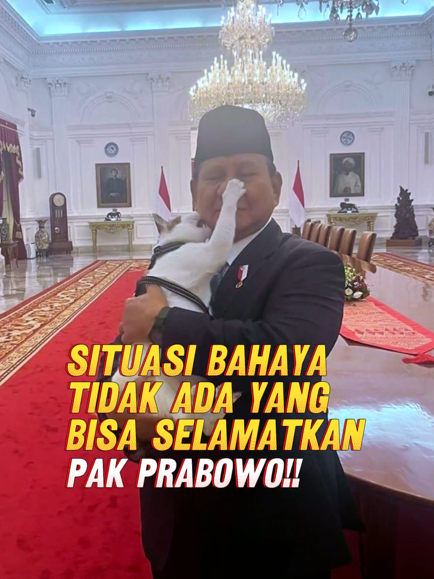 Presiden kita Pak Prabowo hidungnya dicubit si Bobby. Paspampres pun angkat tangan.  Sepertinya tahta tertinggi negri ini dipegang oleh Bobby Kertanegara. Pasalnya Pak Prabowo pun gak bisa berkutik ketika Bobby lagi tantrum.  Asal kalian tau, kucing jalanan yg di adopsi pak prabowo karena sering singgah dirumahnya ini sudah memiliki akun youtube hampir 30rb subscriber lohh. Yang artinya, Bobby sudah punya penghasilan sendiri, kerja loh dia hahaha Kucing kesayangan Pak Prabowo ini kini tinggal di Istana negara mendampingi hari demi hari Pak Prabowo.  Ini kucing nasib nya mujur amat yaa, bisa tukar nasib gak sii #kucing #bobbykertanegara #prabowo #kucingprabowo