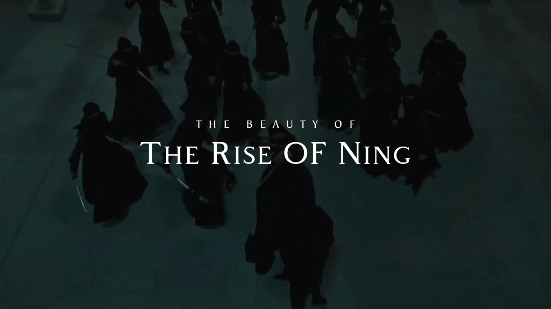 The Beauty of The Rise of Ning || #chinesedrama #cdrama #cdramaedit #cdramaedits #theriseofning #zhangwanyi #renmin #cisha 