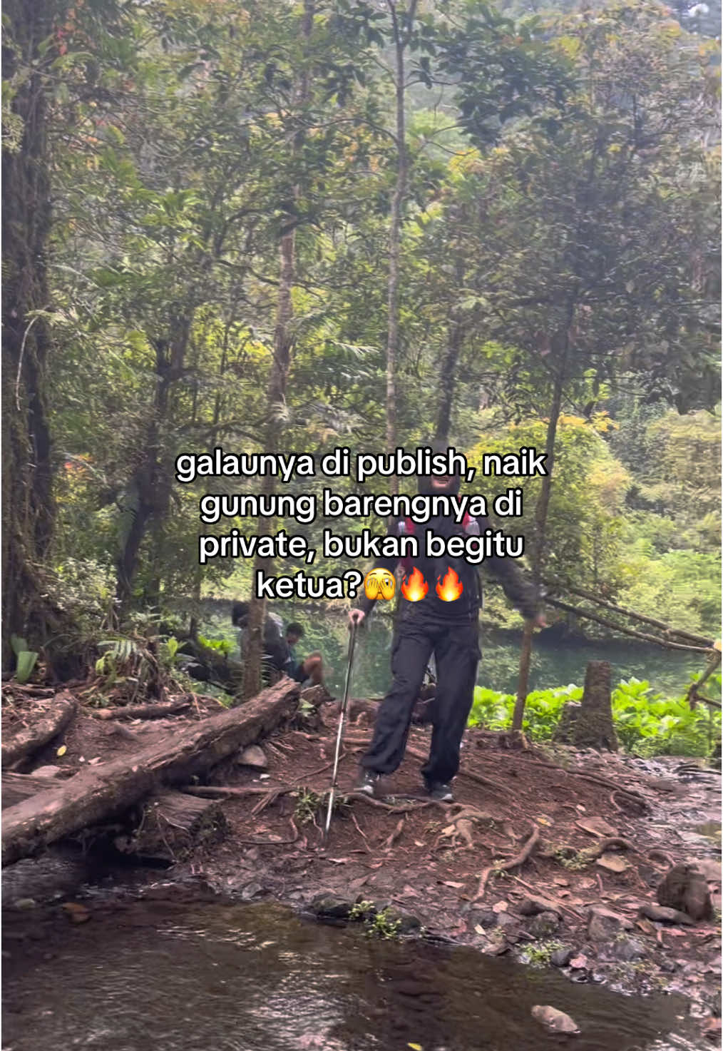 nanti pada ngiri😌  #pendakigunung #pendakiindonesia #foryou #fyp 
