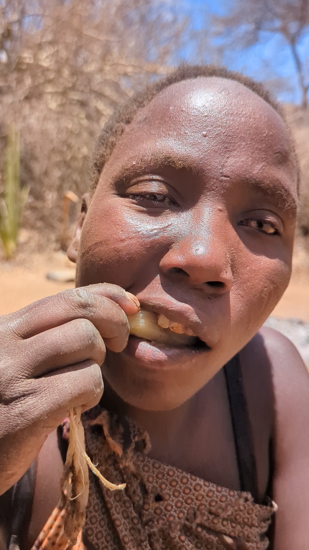 wow 😳 what is good for bushmen's eating Favorite Roots food 