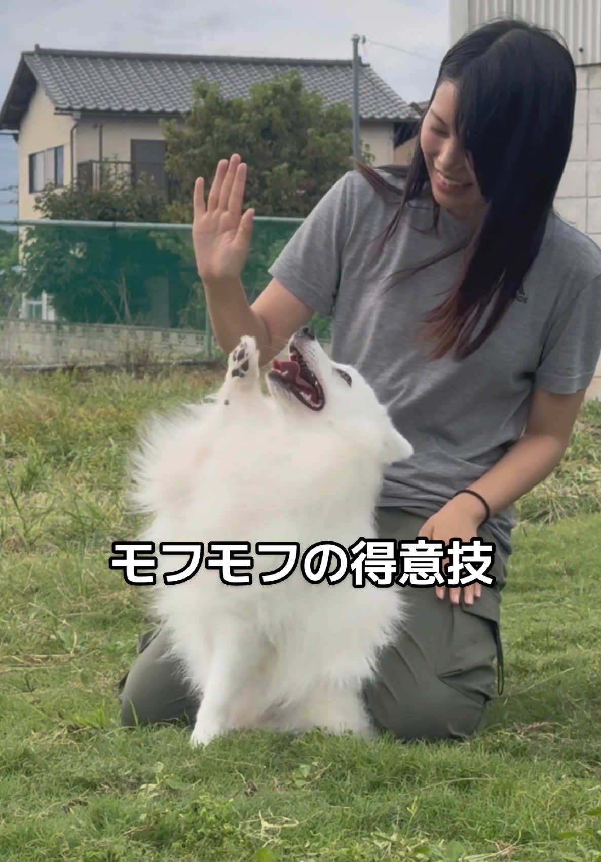 何しても可愛いモフモフな相棒　#推しが尊い #動物コレクション #犬 