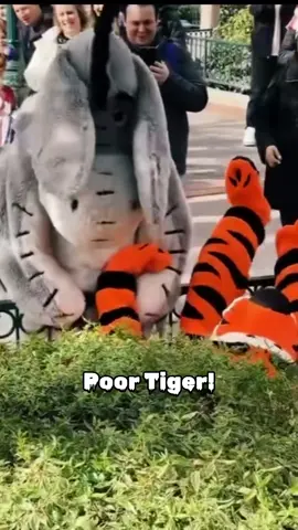 Poor Tiger! 🐯 #disney #disneyparks #tiger #disneyworld #disneyland 