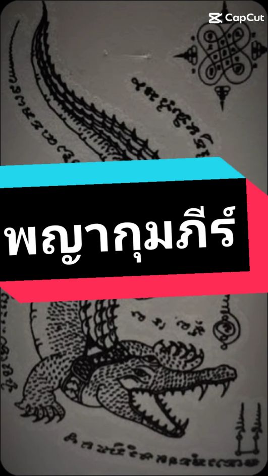 ประสบการณ์รอดตายปาฏิหาริย์ 🙏#พญากุมภีร์ #พระเกจิอาจารย์ #พระเครื่องเมืองไทย #เกจิเมืองไทย #ความเชื่อส่วนบุคคล 