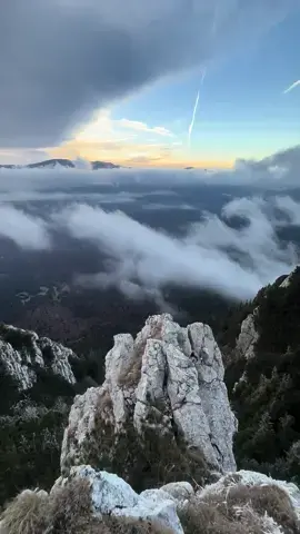 Ever feel the ancient pull of earth beneath your feet, a call to step where legends breathe and clouds wrap mountains in mystic veils? Romania’s mountain realms are landscapes of deep silence and rugged beauty, where every peak and valley tells a story. Here, the Făgăraș, Rodna, and Parâng ranges rise like stone giants, their slopes stitched with myth and mystery. In the Bucegi Mountains, stone formations like Babele and the Sphinx guard secrets of the ages, and mist drapes the heights of Retezat like a spectral shroud. Romania’s peaks are not only summits of rock but keepers of soul, where shadows stretch across untamed valleys and crystalline lakes. In these mountains, rivers like the Argeș, the Ialomița, and the Siret snake through the landscape, winding through thick forests and ancient gorges. Vast and wild, the wilderness of Maramureș, the untamed Rodna National Park, and the lush forests of the Apuseni hold a primal allure, each region threaded with stories of shepherds and spirits. High-altitude lakes like Bâlea, Capra, Bucura, and Zănoaga lie still and pristine, mirroring skies heavy with clouds. The Călimani volcanic mountains and the ethereal Ciucaș range draw the curious, while Ceahlău Mountain looms over Moldova’s green expanse, embodying the spirit of old Dacian myths. Who could stand at the cusp of these cliffs, with views of vast Transylvania, the remote Buzău Mountains, and the brooding Vrancea range, and not feel awed? Romania’s landscapes are not mere backdrops; they’re places that pulse with history and legend. A land carved from the edge of a dream, wild and whispering, calling to those who long to wander through shadowed trails and mist-drenched heights. Have you felt it—that ancient call from the Carpathians to journey through this realm of stories? Video by @Lavinia🦋Simene [Făgăraș Mountains, Bucegi Mountains, Rodna Mountains, Parâng Mountains, Apuseni Mountains, Călimani Mountains, Ciucaș Range, Ceahlău Mountain, Maramureș, Retezat Mountains, Babele Rock, Sphinx Rock, Transylvania] #romania #travel #carpathians