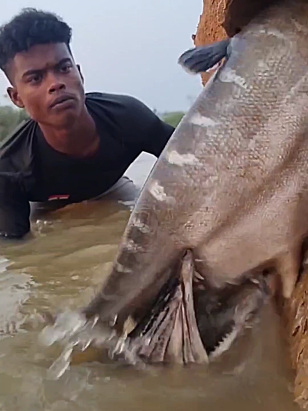 #fishingislife #fishingpicoftheday #fishingboat #freshfish #fishingtime #fisherwoman #fishingday #fisher #video #freshwaterfishing #fishing @Animal World Official @Wildanimals World 