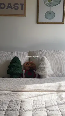 Decorate for Christmas with me!!!  #christmas #decor #decorating #christmasdecorating #christmasdecor #christmasaesthetic #pinterestchristmas #fy #aesthetic #christmasseason #christmashomedecor #homedecor #decoratewithme 