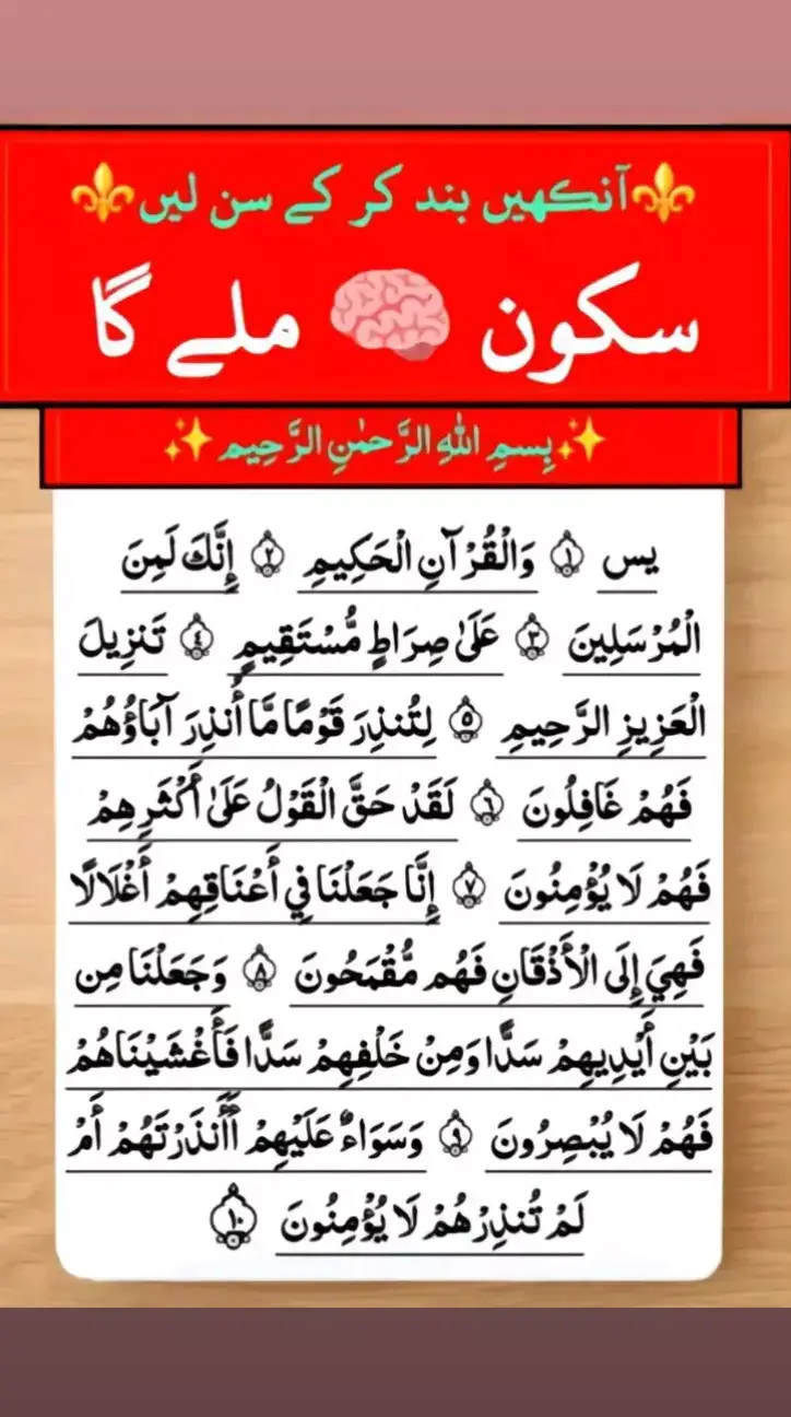 اللہ اور اُس کے فرشتے نبی ﷺ پر  دُرود بھیجتے ہیں۔ اے ایمان والو۔۔!! تم بھی اُن ﷺ پر دُرود و سلام بھیجو۔۔۔!! 🌸 ‏اَللّٰهُمَّ صَلِّ عَلٰی مُحَمَّدٍ وَّ عَلٰی اٰلِ مُحَمَّدٍ کَمَا صَلَّیْتَ عَلٰی اِبرَاهِیْمَ وَ عَلٰی اٰلِ اِبرَاهِیْمَ اِنَّکَ حَمیْدٌ مَّجِیْدٌ○ 🥀 اَللّٰهُمَّ بَارِکْ عَلٰی مُحَمَّدٍ وَّ عَلٰی اٰلِ مُحَمَّدٍ کَمَا بَارکْتَ عَلٰی اِبرَاهِیْمَ وَ عَلٰی اٰلِ اِبرَاهِیْمَ اِنَّکَ حَمیْدٌ مَّجِیْدٌ○    . .  #foryou  #reelsvideo #pageforyou   #fbreels # #fypシ #photochallenge   #ISLAM STUDY FOLLOW#followers   #followforfollowback #deobandscholar #islamicremindersبَارَکْتَ #mulanatariqmasood#mulanaidrees #mulanabijligar #mulanatariqjameel #islamicbayan #islam #ZakirNaik  #islamicstatus #islamabad  #lahoreranglhrlivemorningvibes #karachi#Peshawar #Quran  #islamicrepublicofpakistan  #photochallenge2023  #page #pageforyou #quetta #pakistanifashion  #fbreels #ChatraLoksabha  #reelsvideo #100k  #500k #Afghanistan#islame  #islam #islamabad #islamicquote #islamic #islamicart #dakwahislam #fbreels#Islam study