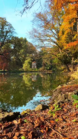 ~ back to my place in autumn ~ 🍀🩷 #monzapark #parcodimonza #lombardiadascoprire #lombardiadavedere #neverstopexploring #exploretocreate #vivianmaier #vivianmaierphotography #vivianmaierportrait #autumnvibes #autumnstyle #roamtheplanet 