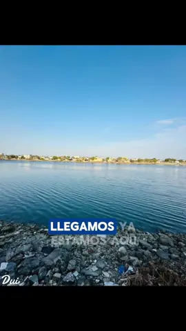 Ya llegamos estamos aqui.😜🤫✍🏻🎶 #yallegamosestamosaqui #estamosaqui #franroy #carlosboy #salsa #salsabaul #salsaparadedicar #salsaparaestados #salsaromantica #viral_video #paratii #dedicado #ecuador🇪🇨 #colombia🇨🇴 #guayaquil #duinetamusic #duimusica #rumba #like #comparte #sigueme #sangre #cali #venezuela #messi #cristianoronaldo #calle #barrio #la15 #malvinas #islatrinitaria #nigeriantiktok🇳🇬 #zona 