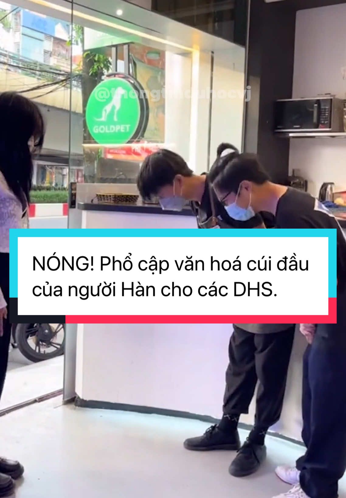 NÓNG! Phổ cập văn hoá cúi đầu của người Hàn cho các Du học sinh. #vj #vjvietnam #duhocvj #duhochanquoccungvj #duhoc #duhochanquoc #duhochan #hocbongduhoc