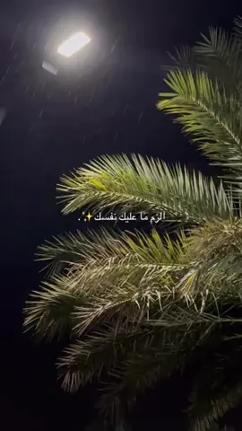 الزم مَا عليك نفسك✨.#اكسبلور #الشعب_الصيني_ماله_حل😂😂 #نفسي_ثم_نفسي 