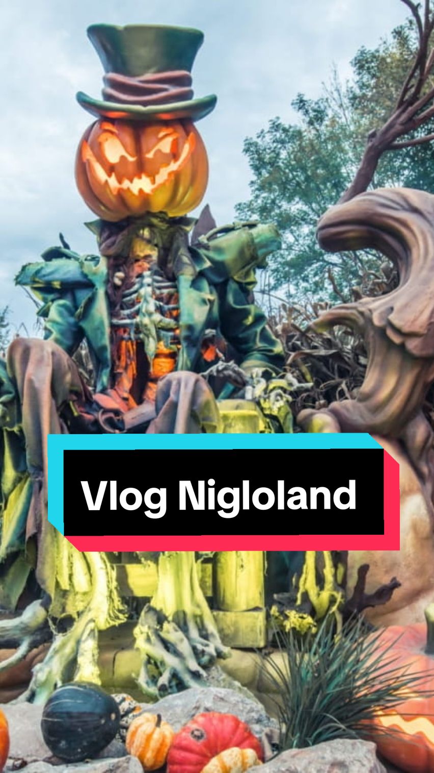 qui connaît ce parc @Nigloland nous c'était notre 1 ére fois et on a adoré,  surtout la déco pour halloween 🎃❤️‍🔥🔥#nigloland #niglohaloween #parc #parcdattraction #manège #Vlog 