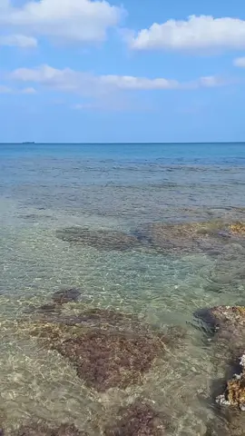 #tunisia🇹🇳 #bizerte #rimelbizerte #sealover #lavieestbelle #بتميل_العيون_على_خده #شانتال_بيطار #احمد_ازرق