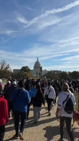 life recently 💗 #weeklyvlog #contentcreators #dcinfluencer #washingtondc #thingstodoindc #rauwalejandro 