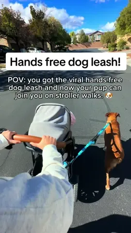 I wish I got this sooner, this has made our walks so much easier and more enjoyable 🐶 #handsfree #handsfreeleash #dogleash #dogproducts #dogmom #dogaccessories 