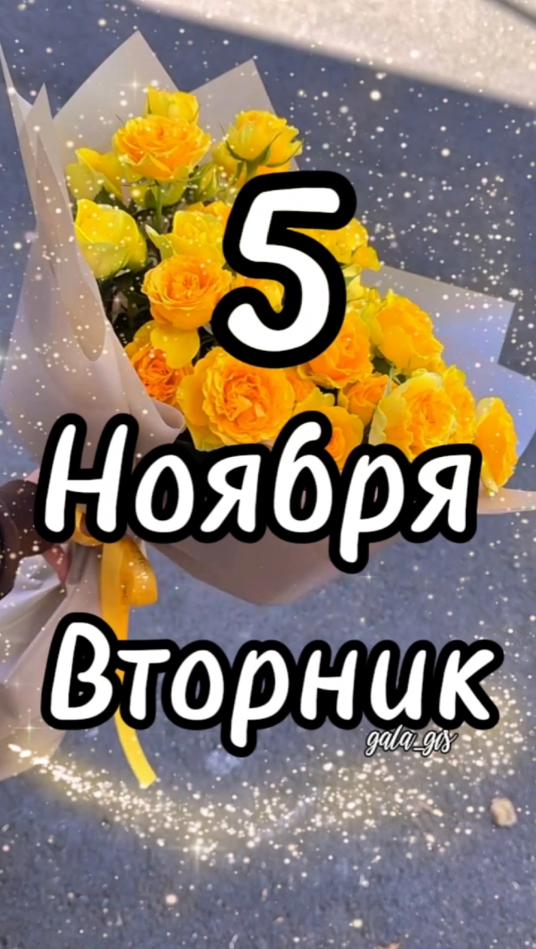 #5 #ноябрь #вторник #доброеутро #длявас #gala_gis 