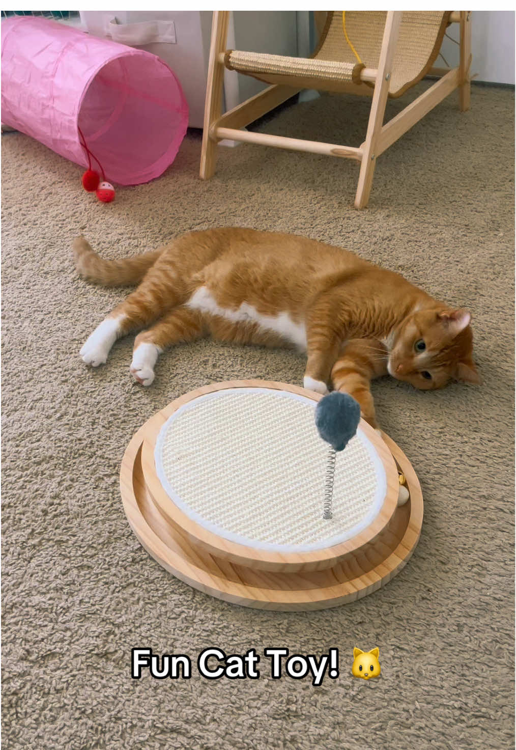 Keep your kitty entertained for hours! 🐱✨ This cat scratching pad comes with a built-in toy for double the fun—perfect for scratching, playing, and saving your furniture! 🛋️💥 Treat your fur baby today! #CatFun #InteractiveCatToy #HappyKitty 