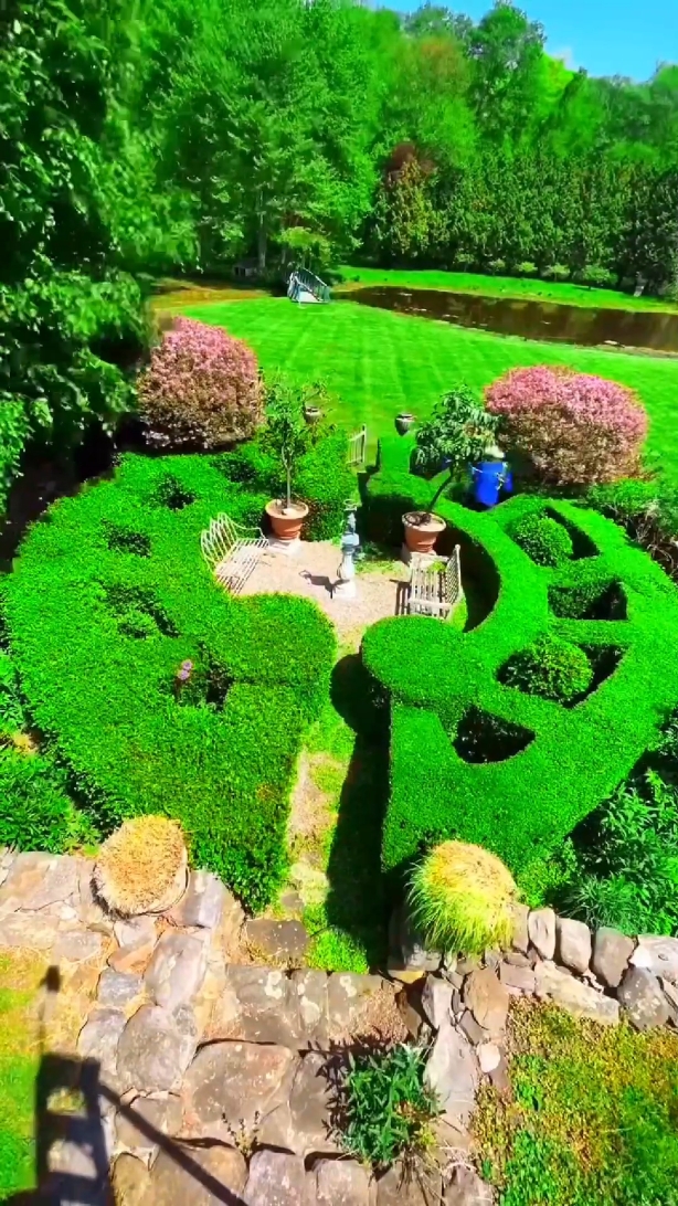 Wait for the last clip 👀🙌🧑‍🌾 #garden #satisfyning #hedges #landscaping 