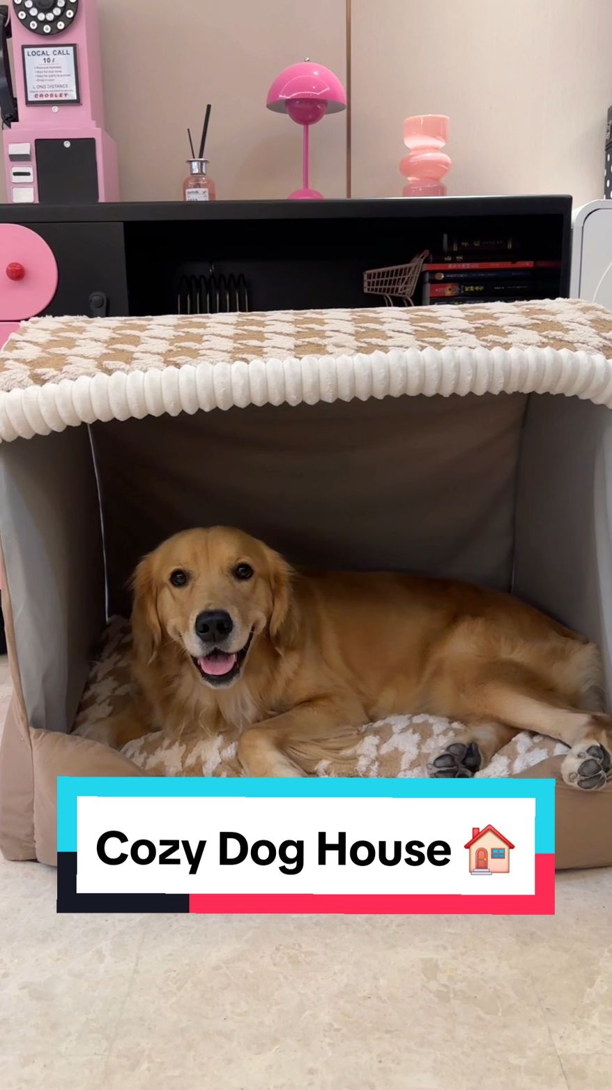 Cozy Dog House 🏠  #warmhouse #doghouse #dogproducts 