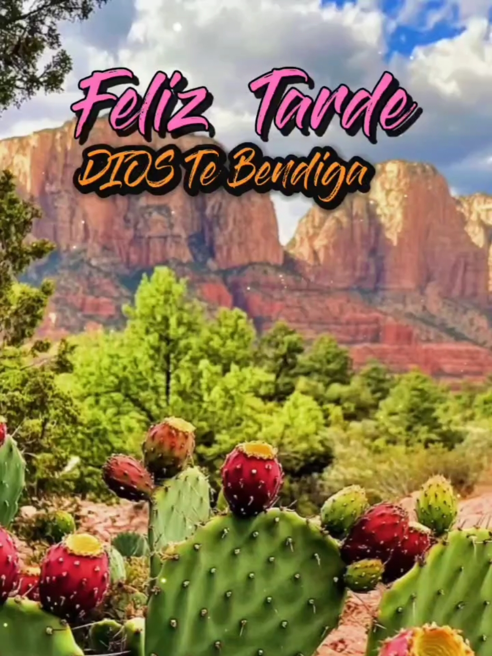 Feliz Tarde DIOS Te Bendiga donde quiera que estés 🙏 🤗 