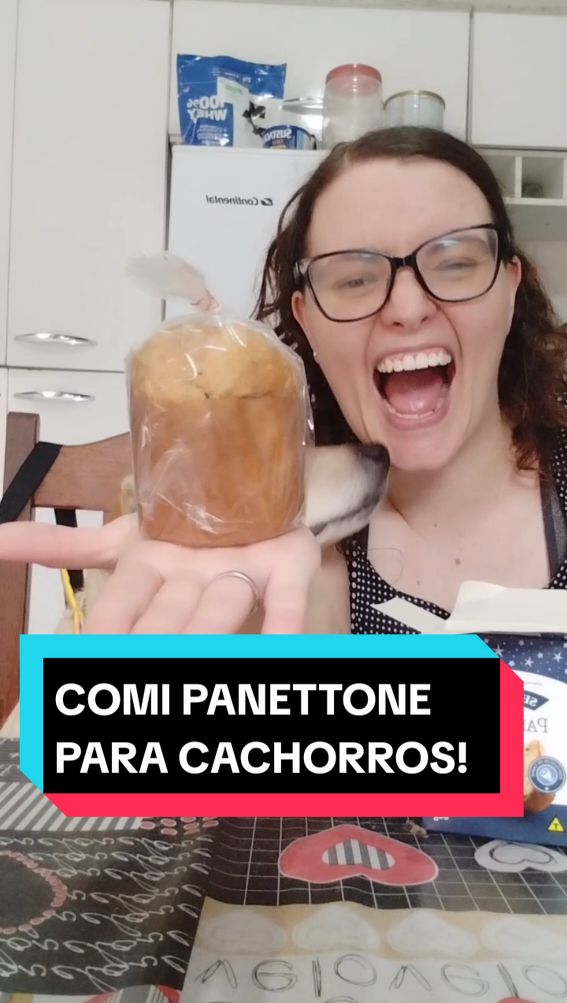 Então é NATAAAAAAAL!  #panettone #natal #pets #cachorro #doguinho #experimentando #fyp #vaiprofycaramba 