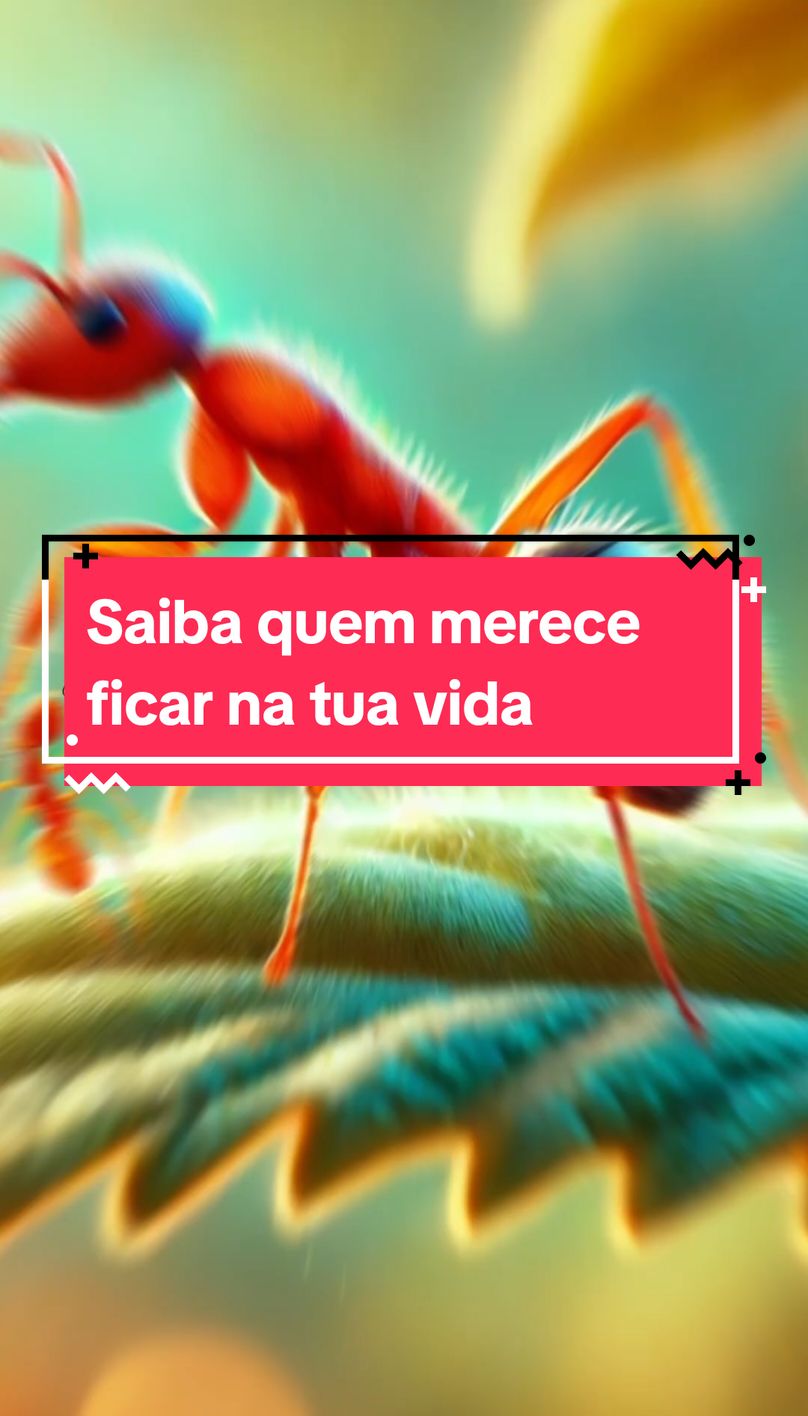 Saiba quem merece ficar na tua vida #reflexao 