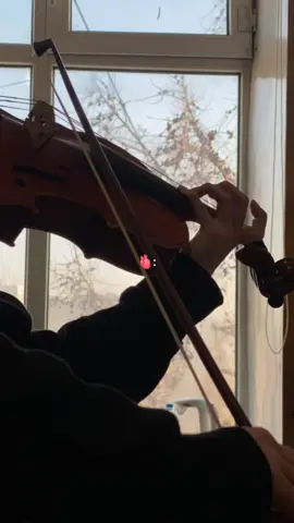 hobbies🎻✨️ #violin #instrument #violin #violin #fyp #parati 