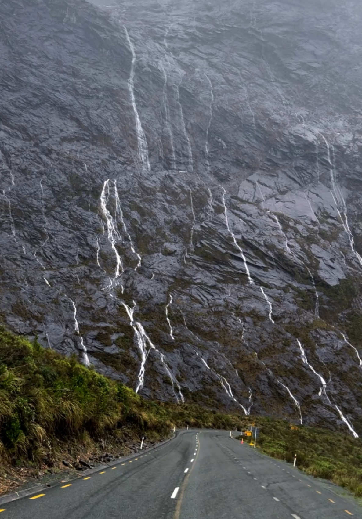 Driving towards Milford Sound in a rain storm