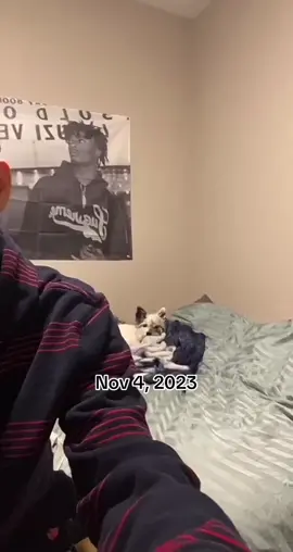 Another vid from last year #alantherizzking #alantherizzler #alan #mala #youngerself #onthisday #fyp #fypp #fypツ #fypシ゚viral 