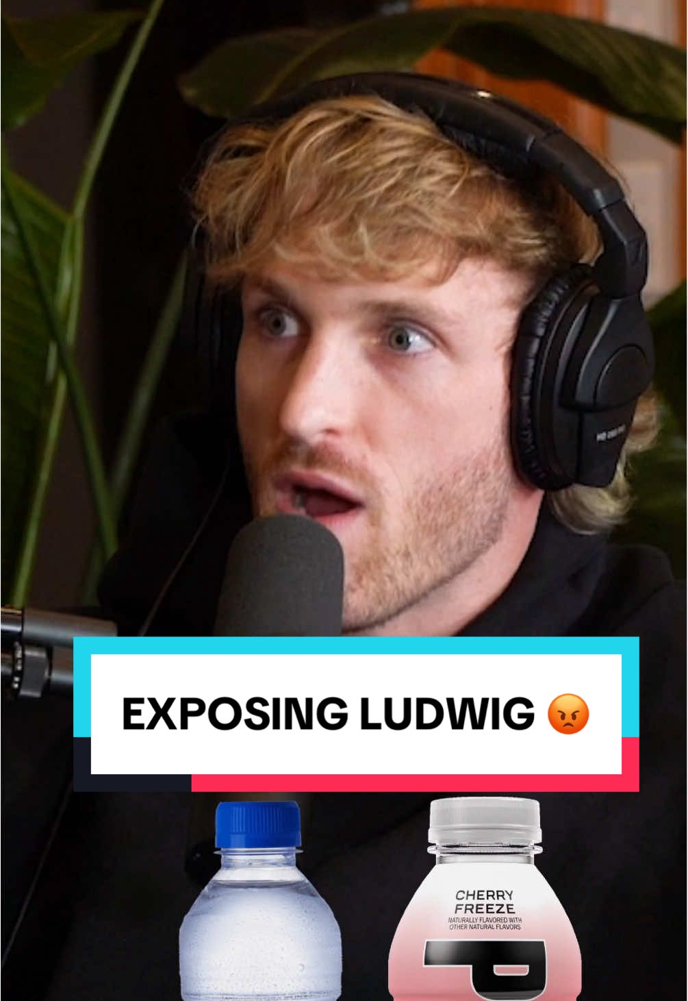 😡 LOGAN PAUL RESPONDS TO LUDWIG! 😤 #loganpaul #mikemajlak #xqc #streaming #ludwig #kick #twitch #mrbeast #squidgame #xqc @Logan Paul @heybigmike 