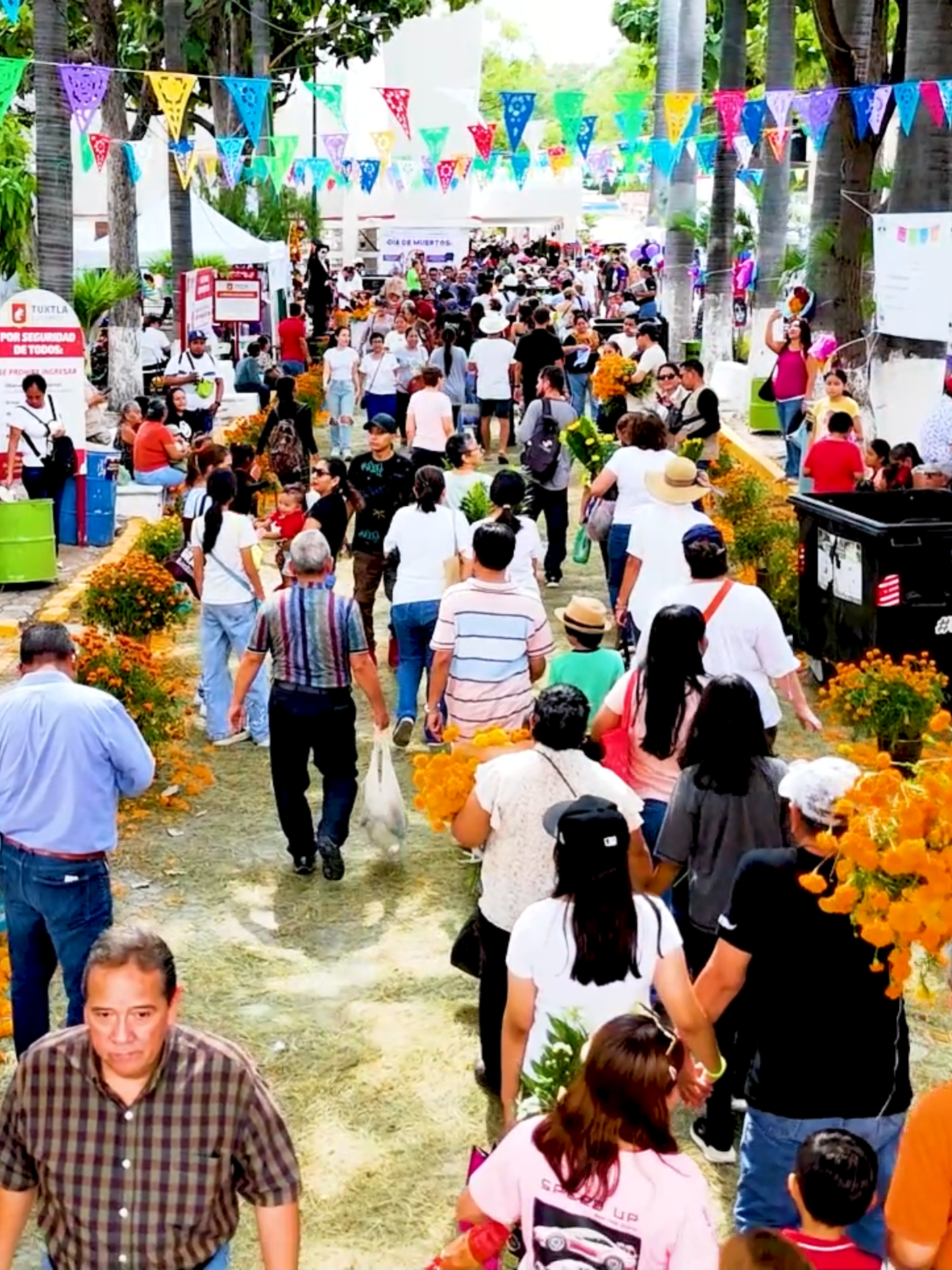 La conmemoración del Día de Muertos es el retorno transitorio de las ánimas de los difuntos, quienes regresan a casa a convivir, al mundo de los vivos. Por tan importante tradición el presidente municipal Angel Torres y el titular de esta Secretaria, Horacio Gómez González, refrendan su compromiso con las y los tuxtlecos para la conservación de las tradiciones del día de muertos. #quevivatuxtla #tuxtlagutierrezchiapas #diademuertos