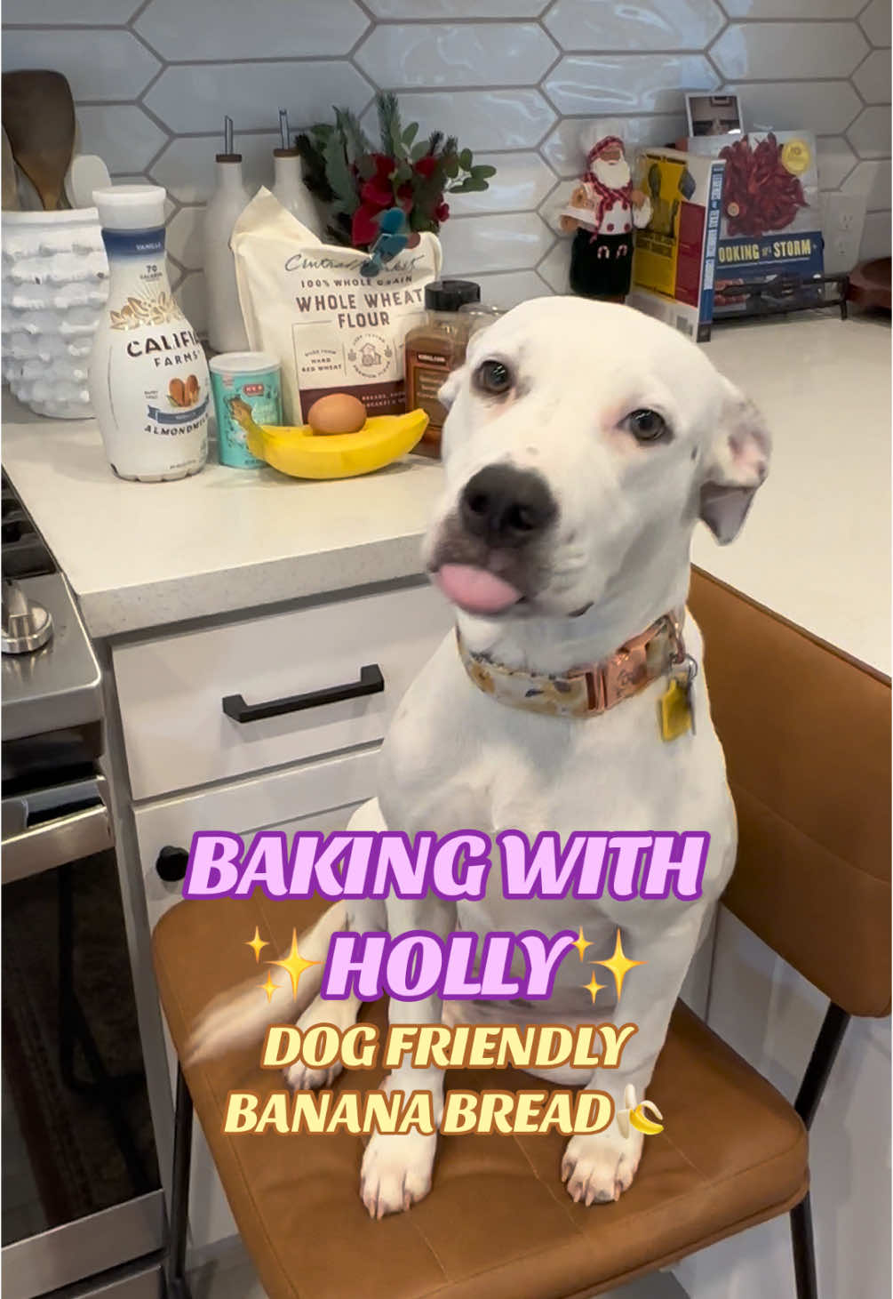 A little overcooked banana bread never hurt nobody 🍞🍌 7 happy pups 😌  #adoptdontshop #bananabread 