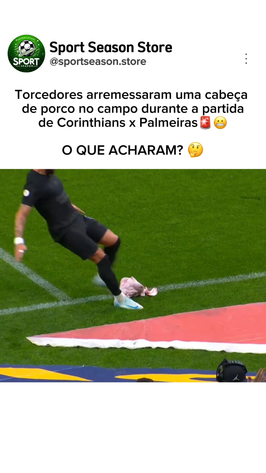 Cabeça de porco é arremessada no campo durante a partida de Corinthians x Palmeiras 🚨 O que acharam disso?😬 #corinthians #palmeiras #brasileirao #yurialberto #timao 