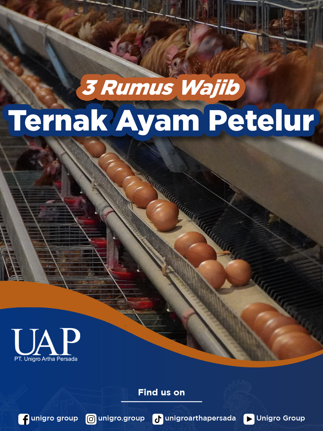 Sebagai peternak ayam petelur, penting banget buat kamu bisa mengukur seberapa efisien peternakan kamu. Nah, ada 3 rumus yang wajib kamu hafal: Hen Day Production (HDP) Semakin tinggi HDP, semakin bagus produktivitas ayam kamu. Bayangkan, kalau HDP kamu tinggi, berarti ayam-ayam kamu rajin banget bertelur setiap hari. Hen Housed Production (HHP) Ini nih yang sering dipakai buat ngukur produktivitas seluruh ayam dalam satu periode tertentu. Jadi, kamu bisa lihat apakah ada peningkatan atau penurunan produksi dari waktu ke waktu. Feed Conversion Ratio (FCR) FCR menunjukkan seberapa efisien pakan yang kamu berikan diubah menjadi telur. Semakin rendah FCR, semakin efisien penggunaan pakan kamu Selain cara diatas, Unigro punya cara unik buat bantu kamu evaluasi peternakan, lho! Cuma pakai egg tray aja, kamu bisa dapat gambaran yang lebih jelas tentang kinerja peternakan kamu. Penasaran kan gimana caranya? #ayampetelur #ayamlayer #tipsternak #peternakanayam #ternakayampetelur