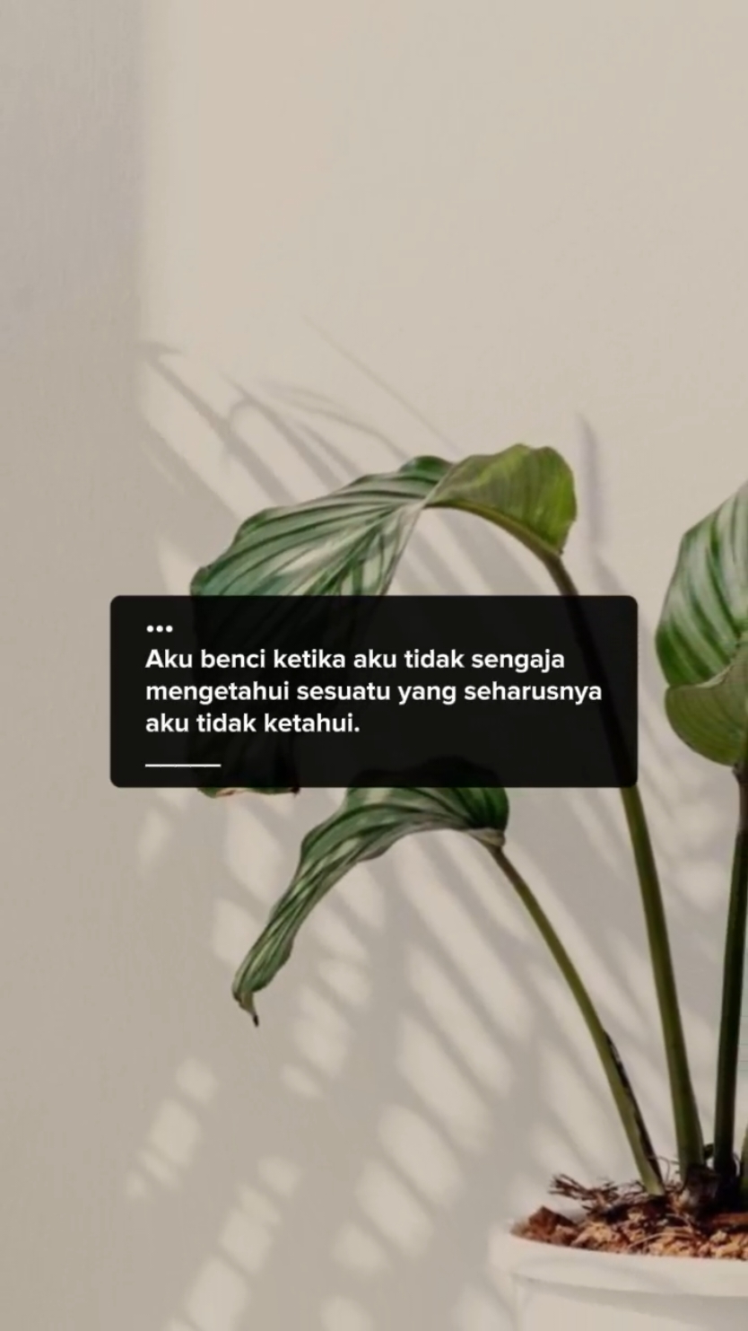 #CapCut #viraltiktok #katakata #daily #padahariini #trend #qoutesstorywa #fyp #storytime #qoutes #snapwa #bismillahfyp #selfreminder #storywa #katakatamotivasi #semangat #status #story #trending #viral 