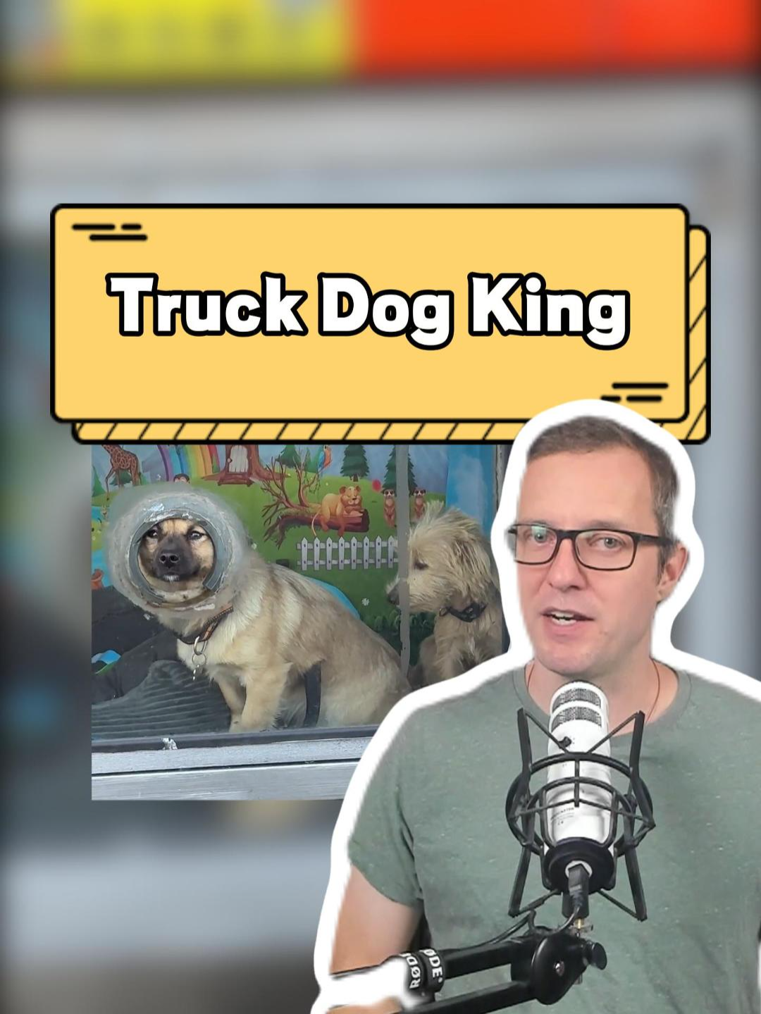 Truck Dog King